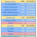01 Promoções-Descontos-45784.jpg